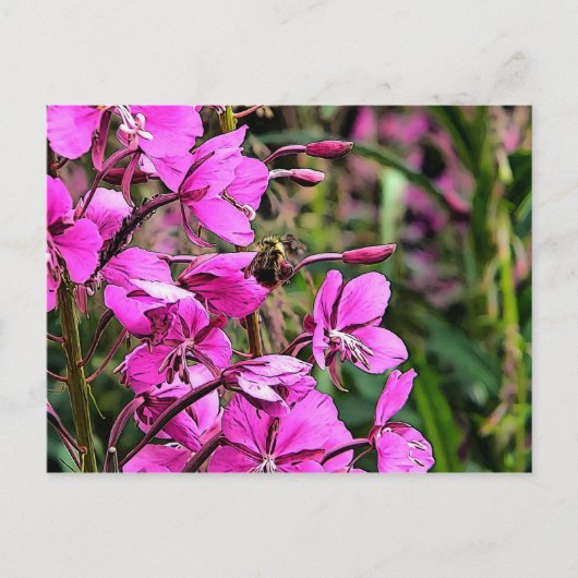 Bee Nice Postkarte (Vorderseite)