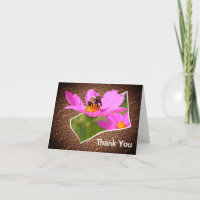 Bee On Cosmos Blume Art Danke Karte