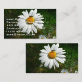 Bee on Daisy Alaskan Summer Nature Photo Visitenkarte (Vorne/Hinten)