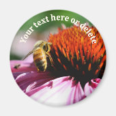 Bee On Echinacea Flower Personalized Magnet (Vorne)