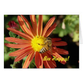 Bee on Mum, Bee Happy! (Vorderseite (Horizontal))