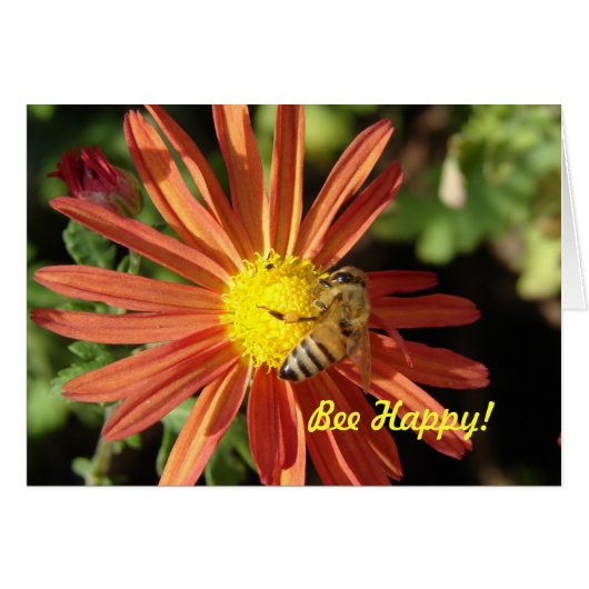 Bee on Mum, Bee Happy! (Vorderseite (Horizontal))