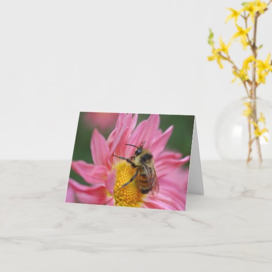 Bee On Pink Daisy Flower Photography Note Karte (Gelbe Blume)