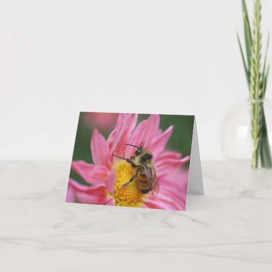 Bee On Pink Daisy Flower Photography Note Karte (Vorderseite)