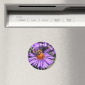 Bee On Purple Aster Flower Nature Personalized Magnet (In Situ (Geschirrspüler))