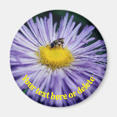 Bee On Purple Daisy Flower Personalized Magnet (Vorne)