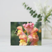 Bee On Snapdragon Blume Foto Postcard Postkarte (Stehend Vorderseite)