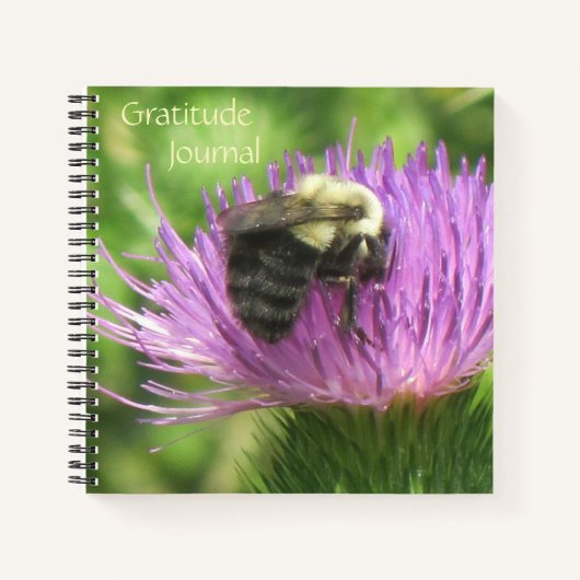 Bee on Thistle Dankeschön Journal Notizblock (Vorderseite)