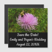 Bee on Thistle Flower Nature Magnetkarte (Vorne/Hinten)