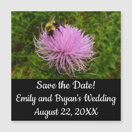 Bee on Thistle Flower Nature Magnetkarte (Vorderseite)