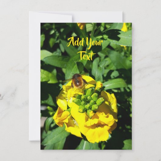Bee on Yellow Flowers (Vorderseite)