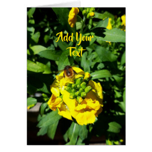 Bee on Yellow Flowers