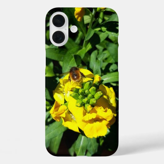 Bee on Yellow Flowers Case-Mate iPhone Hülle (Rückseite)