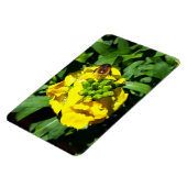 Bee on Yellow Flowers Magnet (Linke Seite)