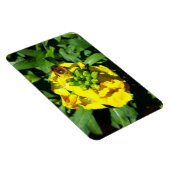 Bee on Yellow Flowers Magnet (Rechte Seite)