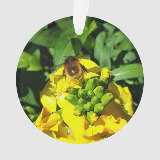 Bee on Yellow Flowers Ornament (Vorderseite)