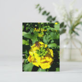 Bee on Yellow Flowers Postkarte (Stehend Vorderseite)