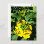Bee on Yellow Flowers Postkarte (Vorne/Hinten)