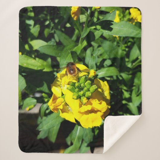 Bee on Yellow Flowers Sherpadecke (Vorderseite)