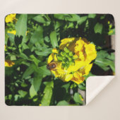 Bee on Yellow Flowers Sherpadecke (Vorderseite (Horizontal))