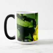 Bee on Yellow Flowers Verwandlungstasse (Links)