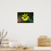 Bee on Yellow Wildflower Poster (Küche)