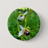 Bee Orchid Abzeichen Button (Vorderseite)