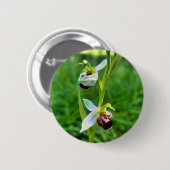 Bee Orchid Abzeichen Button (Vorne & Hinten)