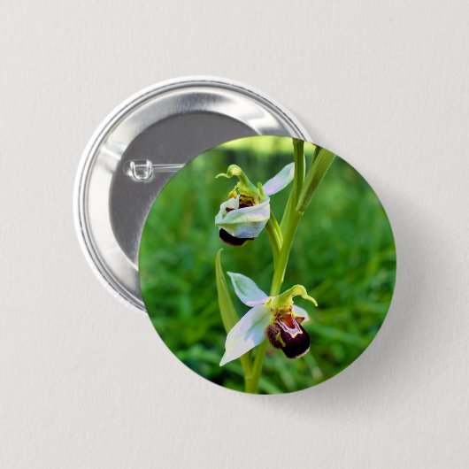 Bee Orchid Abzeichen Button (Vorne & Hinten)
