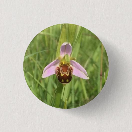 Bee Orchid-Blume Button (Vorderseite)