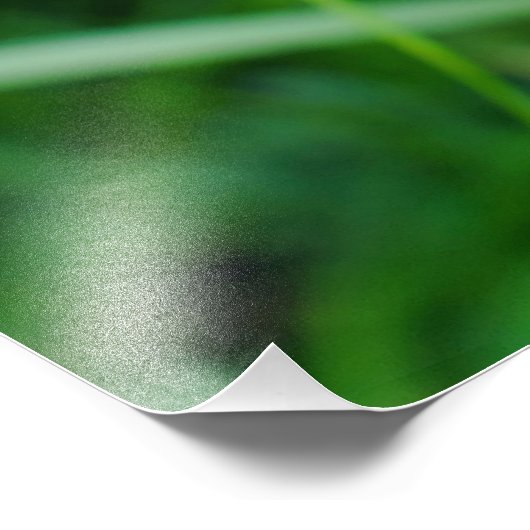 Bee Orchid Fotodruck (Ecke)