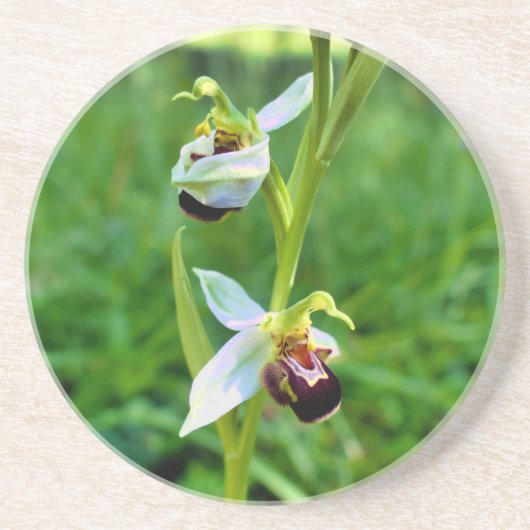 Bee Orchid Getränkeuntersetzer (Vorne)
