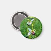 Bee Orchid Magnet (Vorderseite/Rückseite)