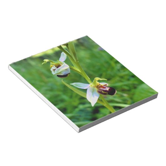Bee Orchid Notizblock (angewinkelt)