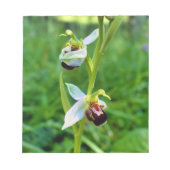 Bee Orchid Notizblock (Vorderseite)