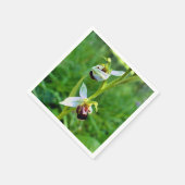 Bee Orchid Paper Napkins Serviette (Ecke)