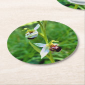 Bee Orchid Runder Pappuntersetzer (Angewinkelt)