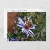 Bee Poscard Postkarte (Vorne/Hinten)