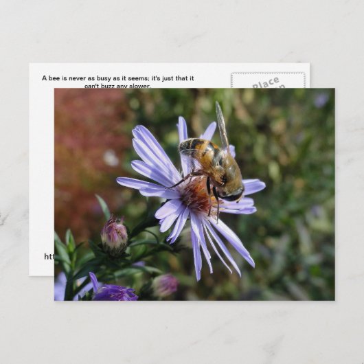 Bee Poscard Postkarte (Vorne/Hinten)