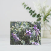 Bee Postcard Postkarte (Stehend Vorderseite)