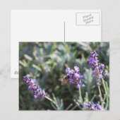 Bee Postcard Postkarte (Vorne/Hinten)
