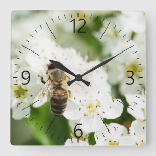 Bee sitting on a spring flower quadratische wanduhr