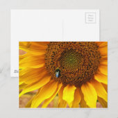 Bee Sunny Postkarte (Vorne/Hinten)
