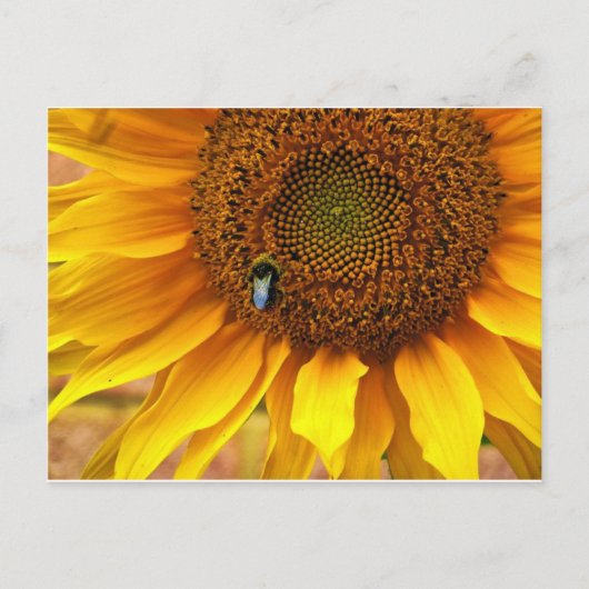 Bee Sunny Postkarte (Vorderseite)