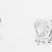 Bee Textured Wallpaper Tapete (Naht)