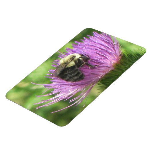 Bee & Thistle Magnet (Linke Seite)