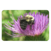 Bee & Thistle Magnet (Horizontal)