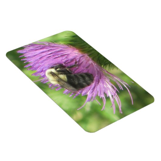 Bee & Thistle Magnet (Rechte Seite)