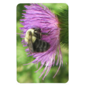 Bee & Thistle Magnet (Vertikal)