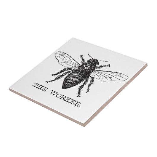 Bee Worker Honey Black Bumblebee Fliese (Seite)